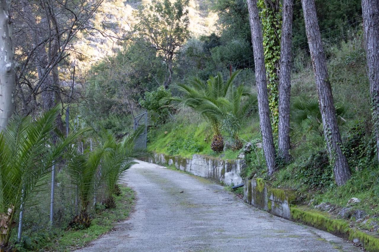 Stay Wild En Las Casitas De Huerta Arriba Benamahoma Eksteriør bilde