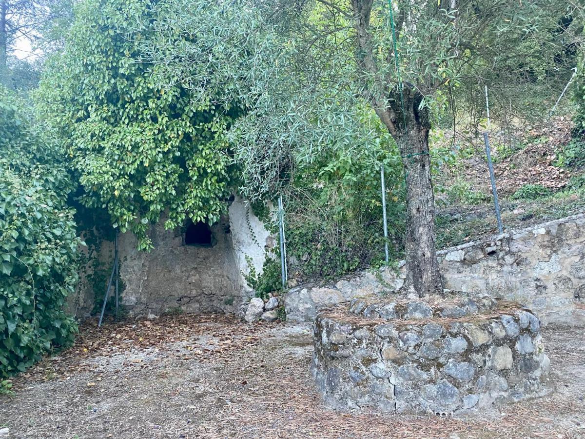 Stay Wild En Las Casitas De Huerta Arriba Benamahoma Eksteriør bilde